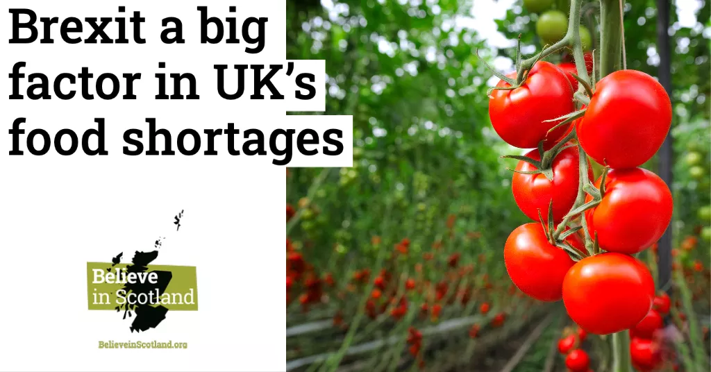 Brexit a big factor in UK's food shortages